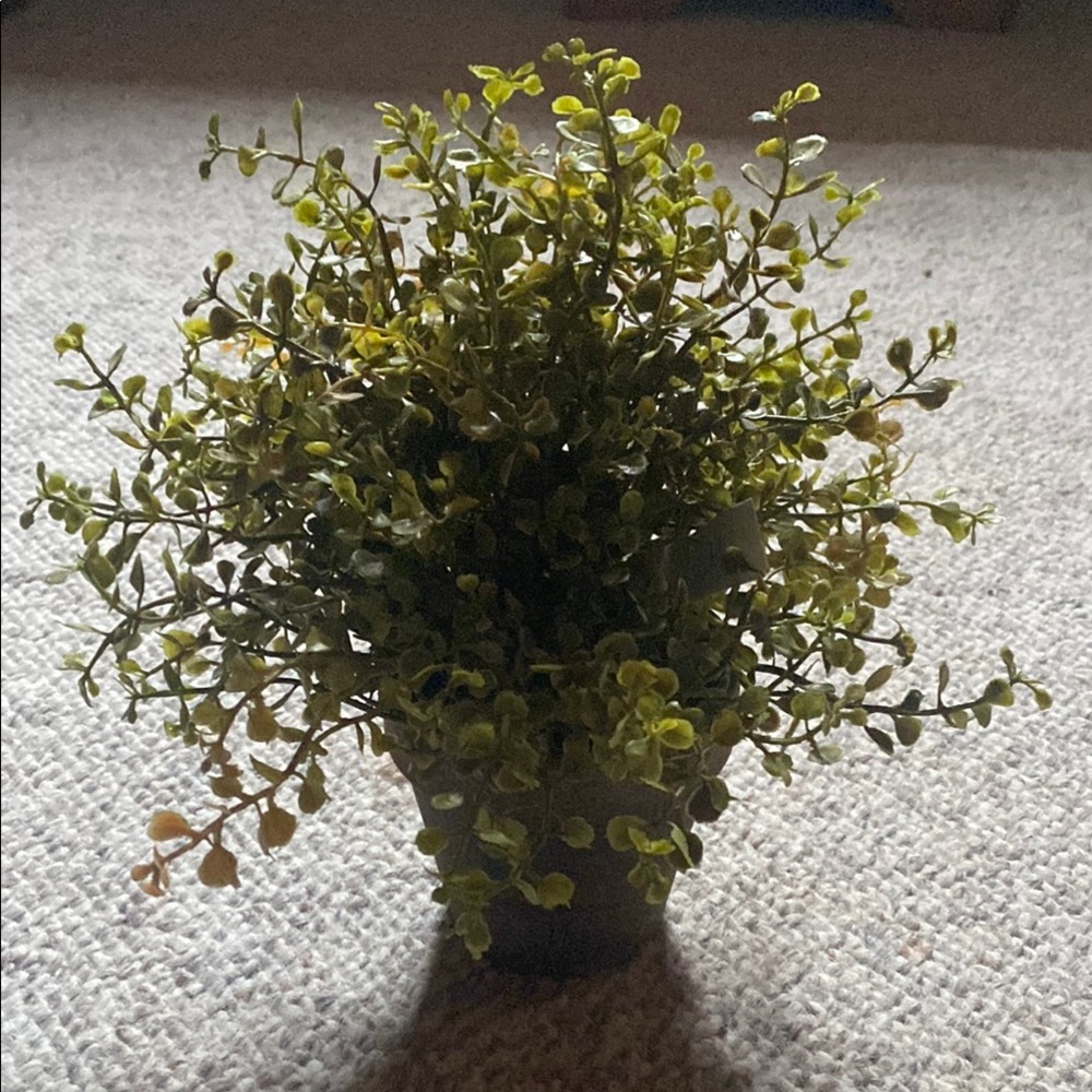 Artificial Eucalyptus Greenery Plant in Gray Pot